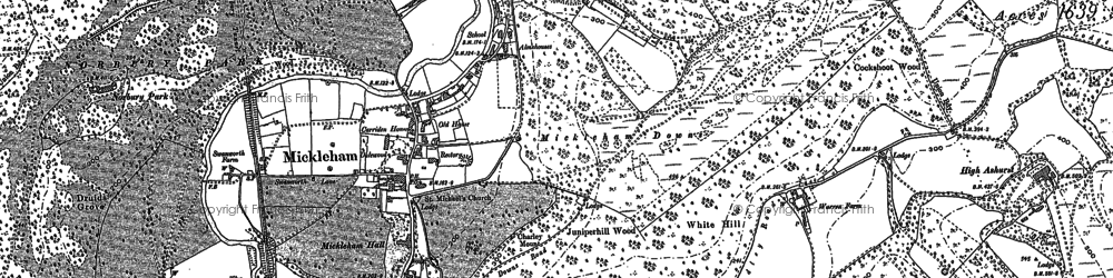 Old map of Leatherhead Downs in 1895