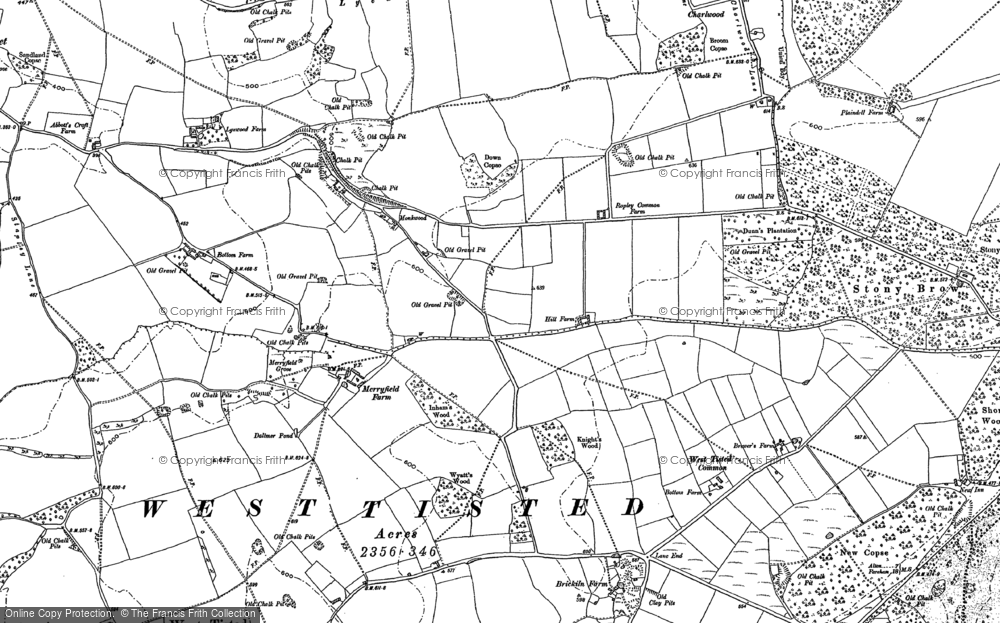 Old Map of Historic Map covering West Tisted Common in 1895