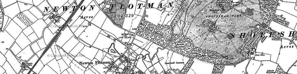 Old map of Newton Flotman in 1880