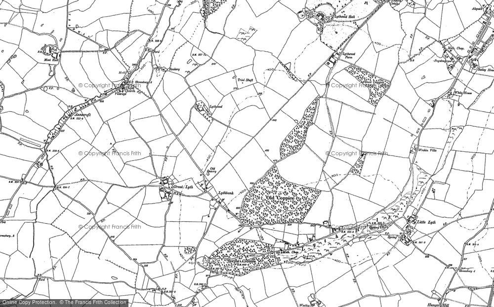 Old Map of Old Coppice, 1881 - 1882 in 1881