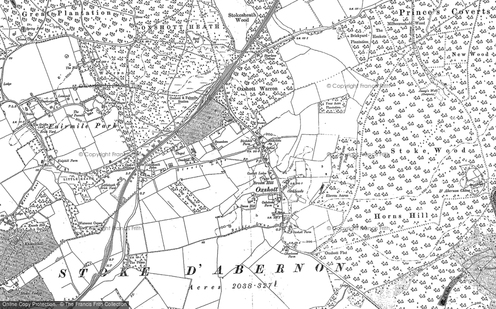 Old Map of Oxshott, 1895 in 1895