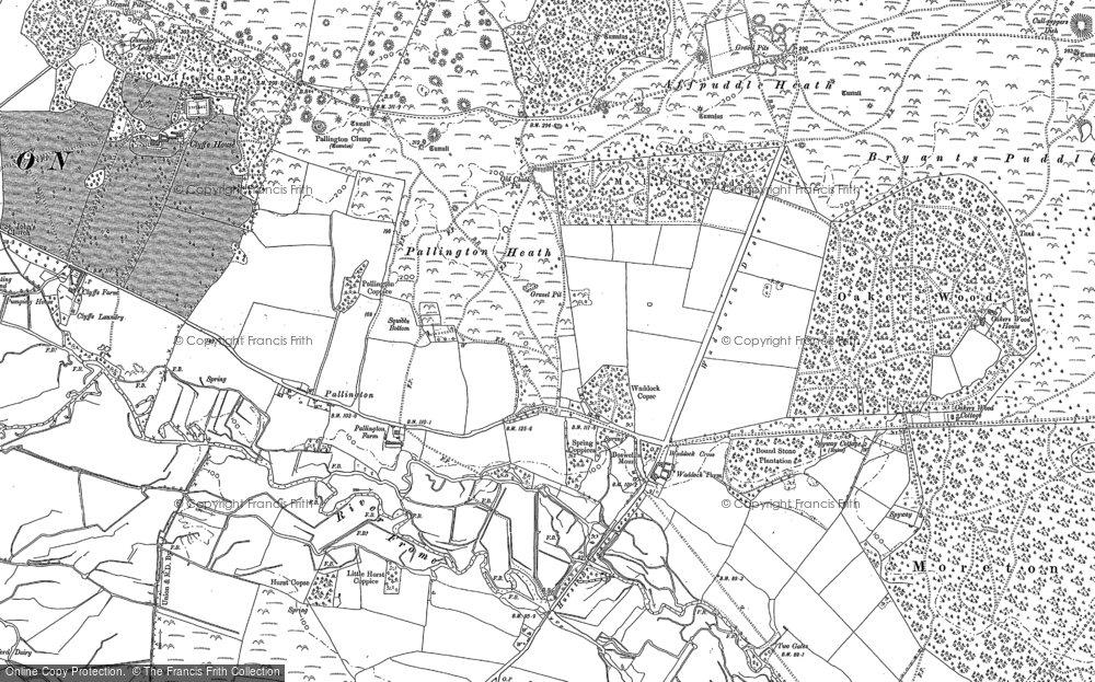 Old Map of Pallington Heath, 1886 in 1886