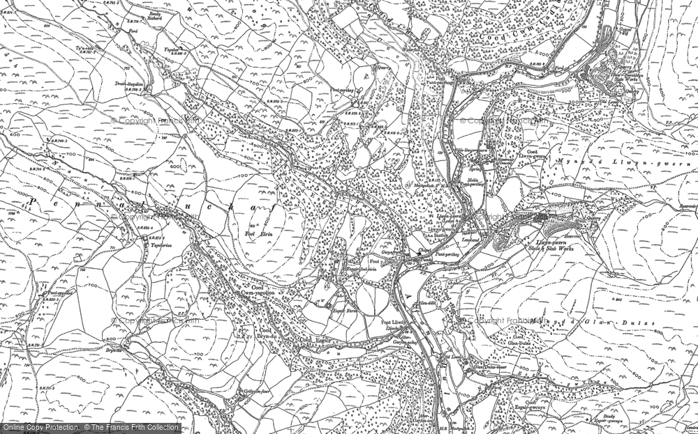 Old Map of Pantperthog, 1886 - 1900 in 1886