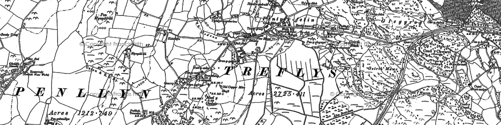 Old map of Treflys in 1899