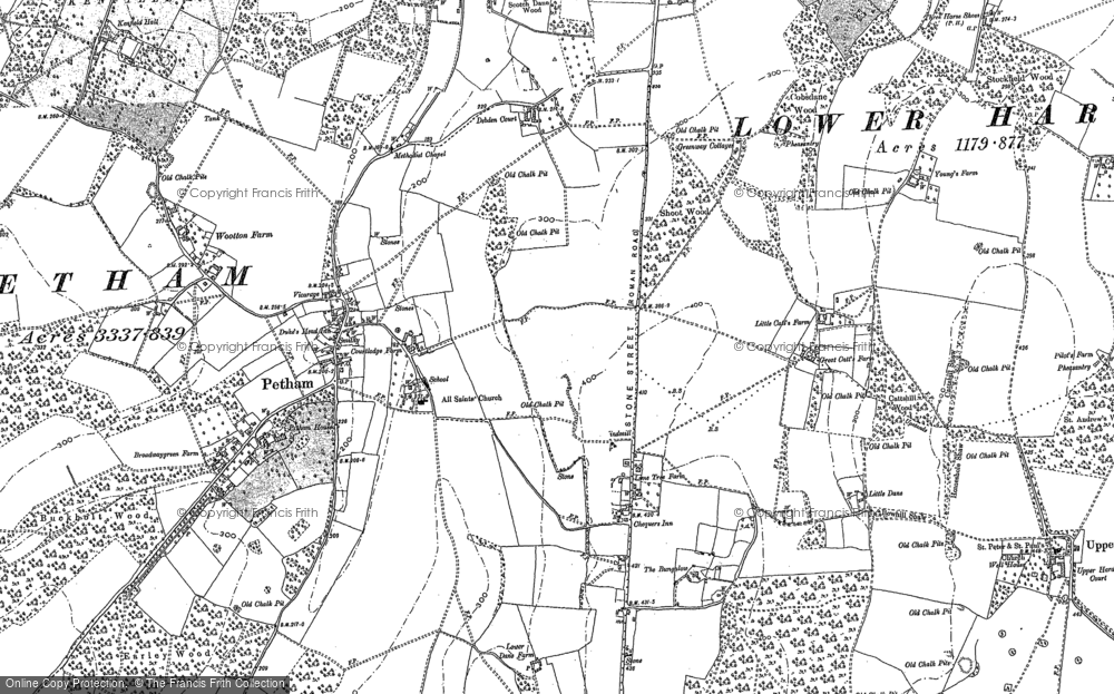 Old Map of Petham, 1895 - 1896 in 1895