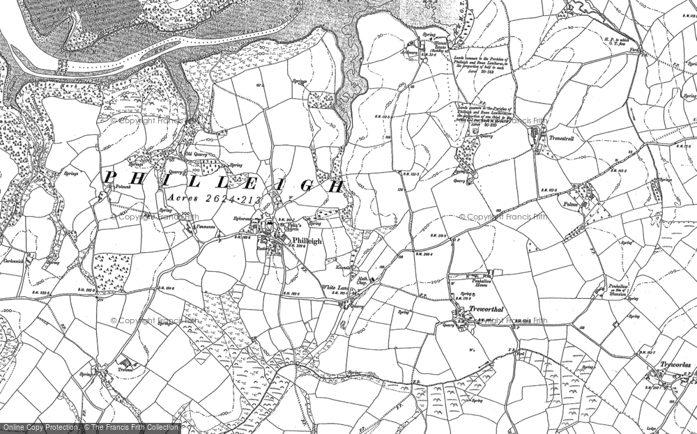 Old Map of Historic Map covering Borlase Wood in 1879