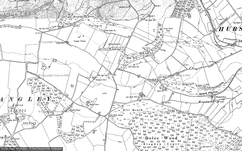 Old Map of Historic Map covering Blagden Copse in 1894