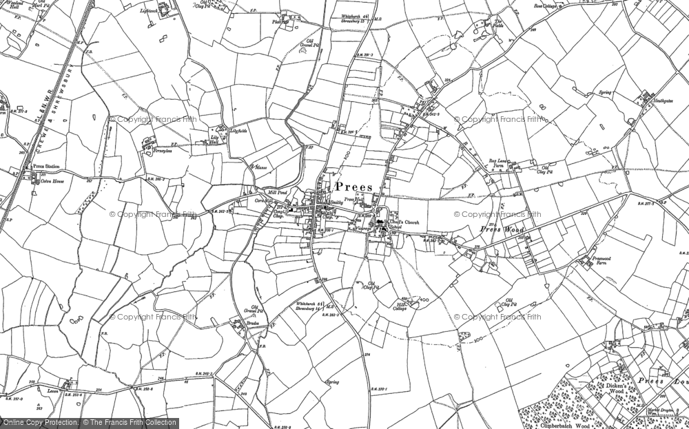 Old Map of Historic Map covering Prees Wood in 1880