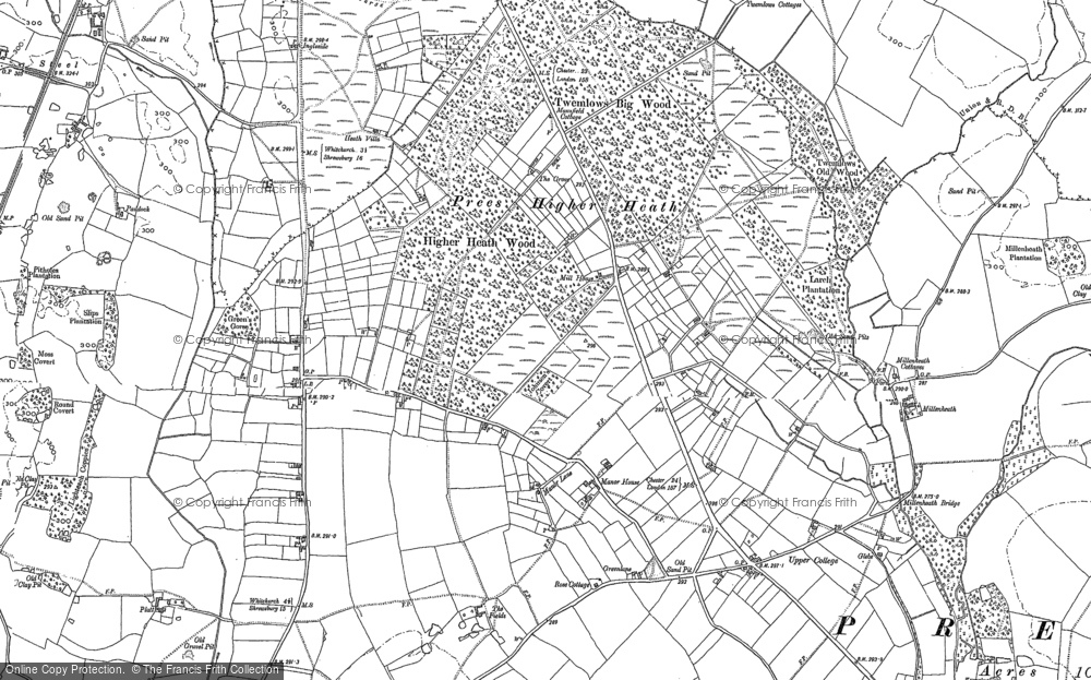 Old Map of Historic Map covering Twemlows Big Wood in 1879