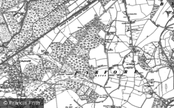 1895, Pyrford