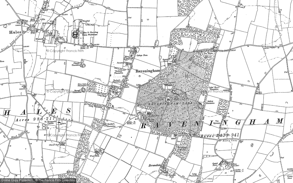 Old Map of Raveningham, 1884 in 1884
