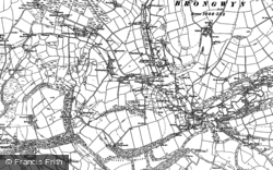 1904, Rhippinllwyd