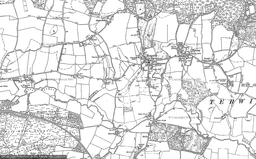Old Map of Historic Map covering Terwick Common in 1896