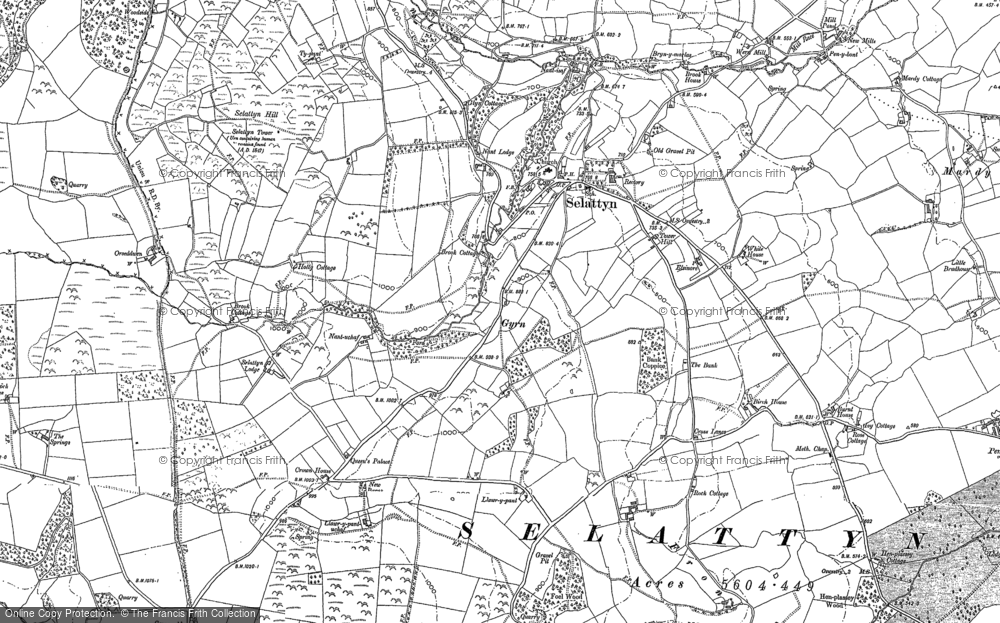 Old Map of Selattyn, 1874 - 1900 in 1874