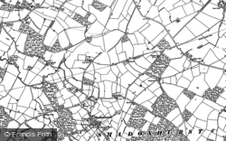 1896, Shadoxhurst