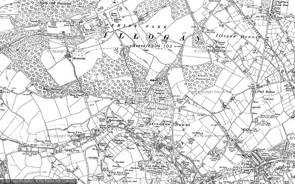 Old Map of Historic Map covering Tolvaddon Downs in 1878