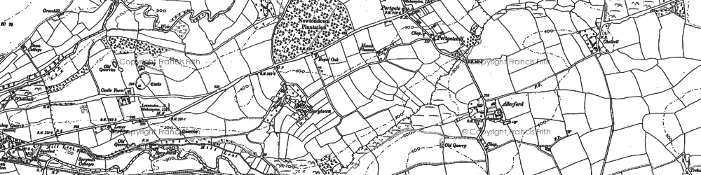 Old map of Blackdown Wood in 1883