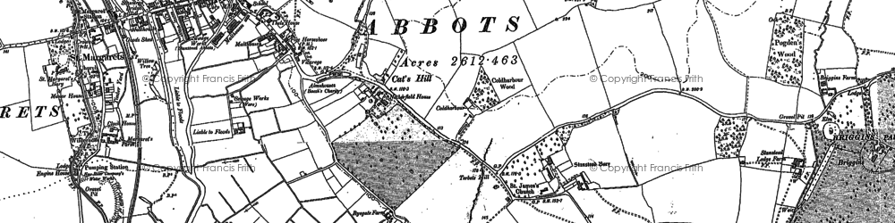 Old map of Stanstead Abbotts in 1919