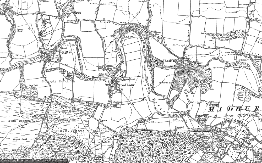 Old Map of Stedham, 1895 - 1896 in 1895
