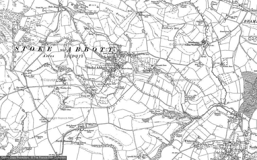 Old Map of Stoke Abbott, 1886 - 1887 in 1886