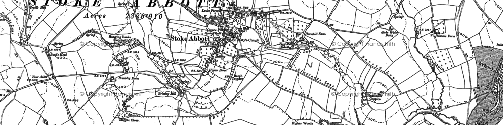 Old map of Stoke Abbott in 1886