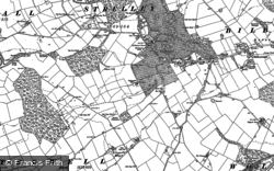 1899, Strelley