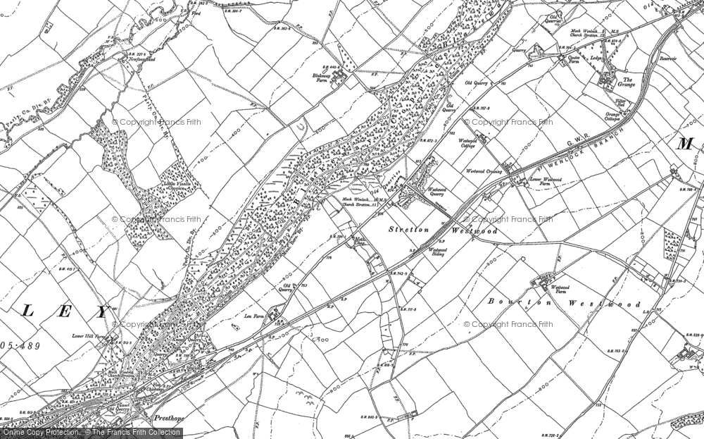 Old Map of Historic Map covering Blakeway Coppice in 1882