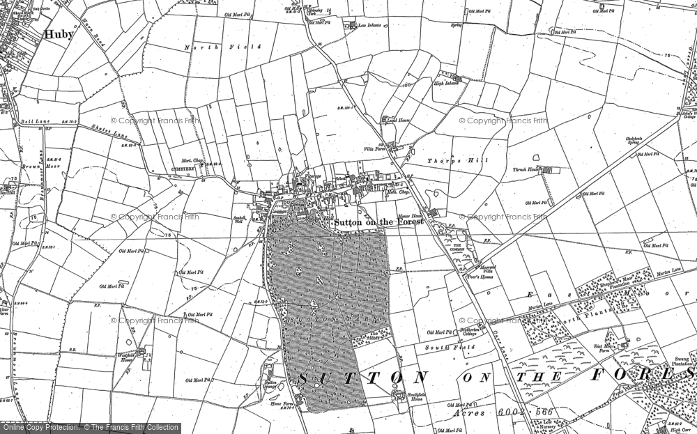 Old Map of Historic Map covering Whitecarr Beck in 1891