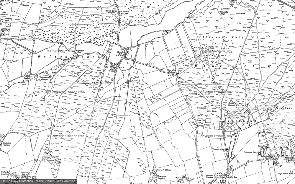 Old Map of Tadnoll, 1886 in 1886