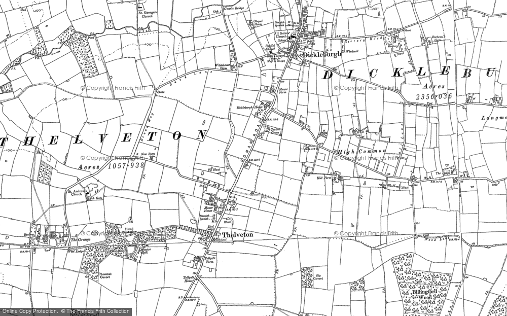 Old Map of Thelveton, 1883 - 1903 in 1883