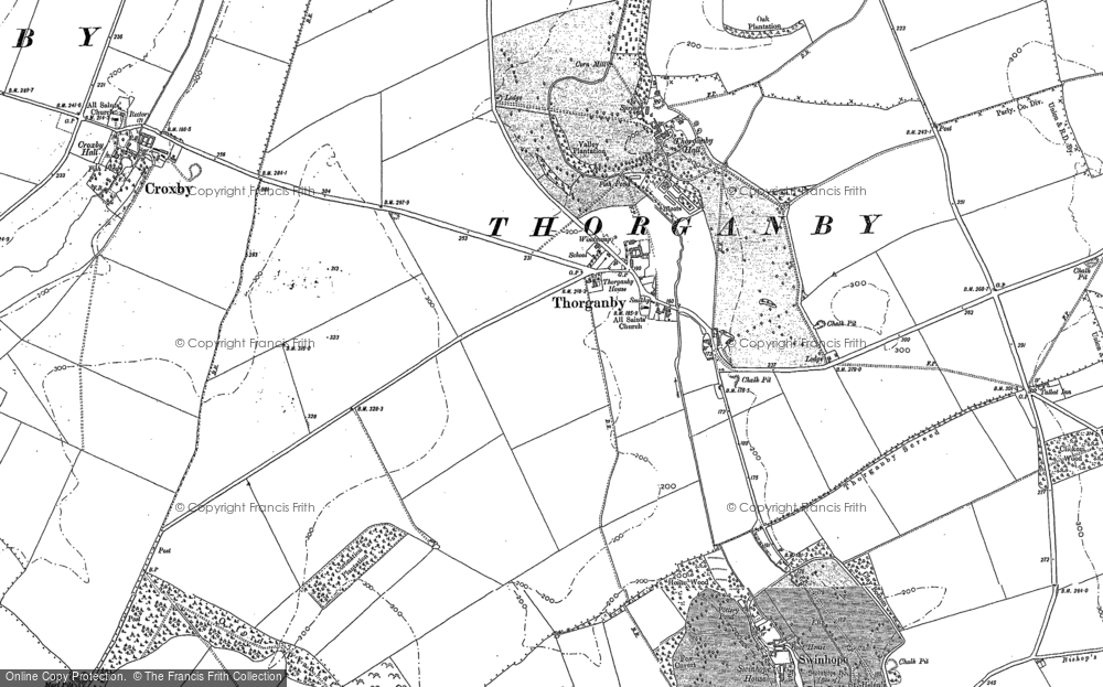 Old Map of Thorganby, 1887 in 1887