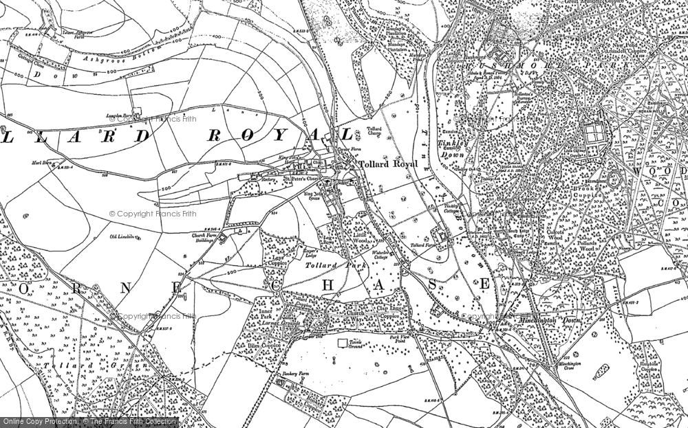Old Map of Historic Map covering Berwick Down in 1924