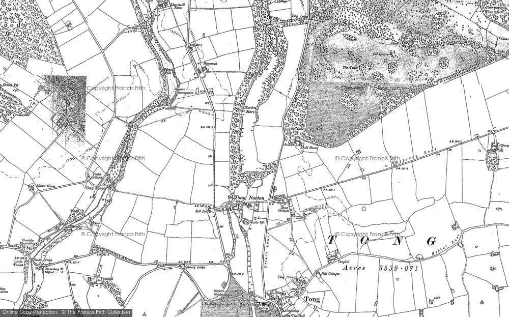Old Map of Tong Norton, 1881 - 1901 in 1881