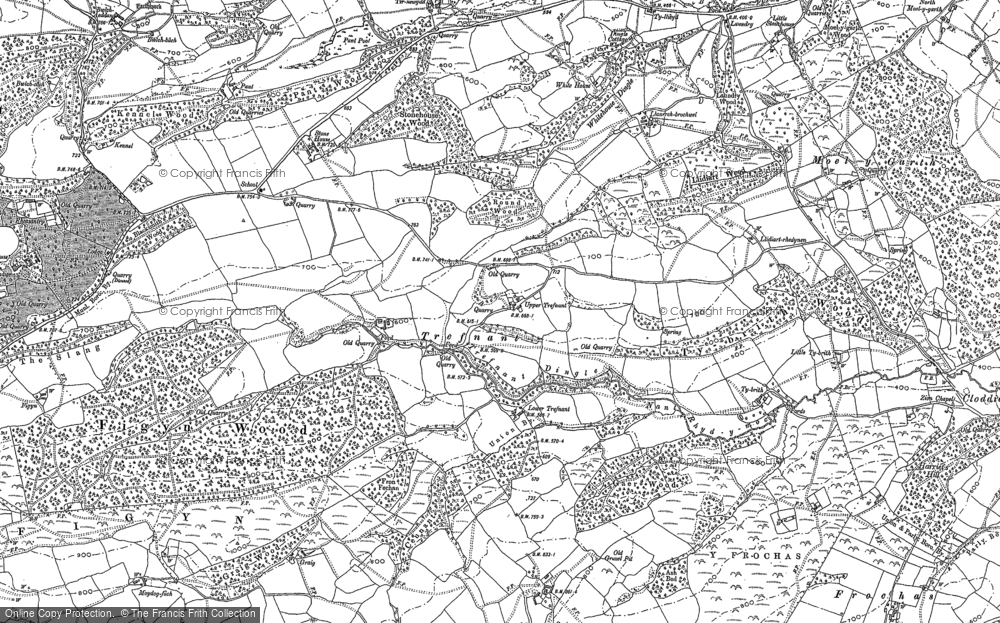 Old Map of Historic Map covering Tirnewydd in 1884