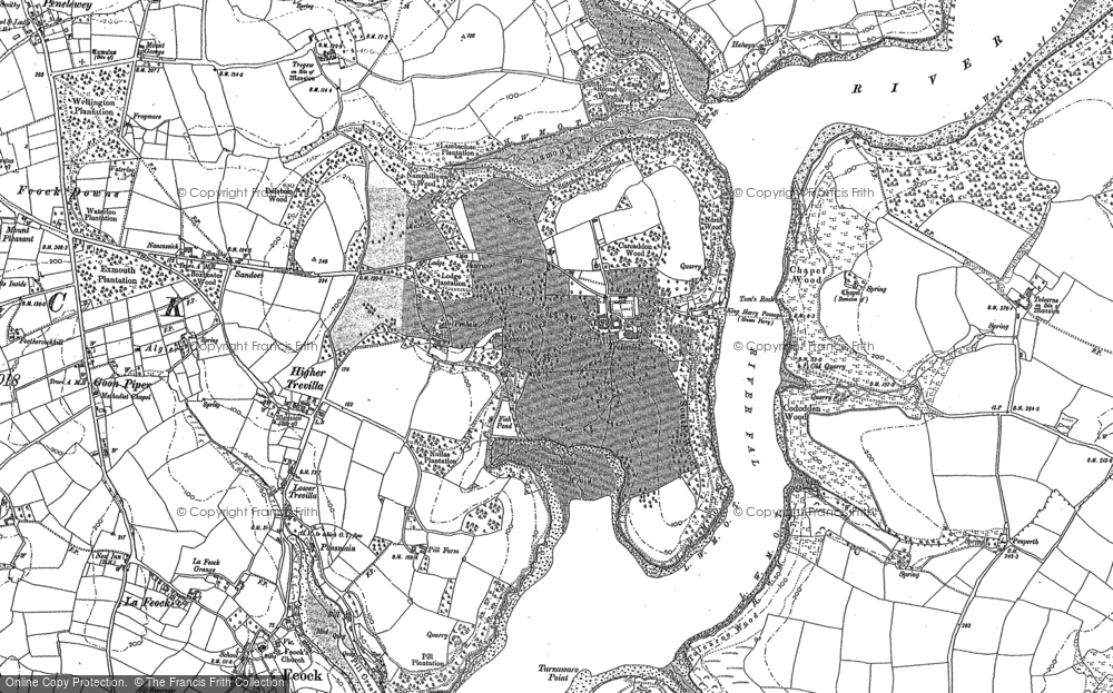 Old Map of Trelissick, 1878 - 1879 in 1878
