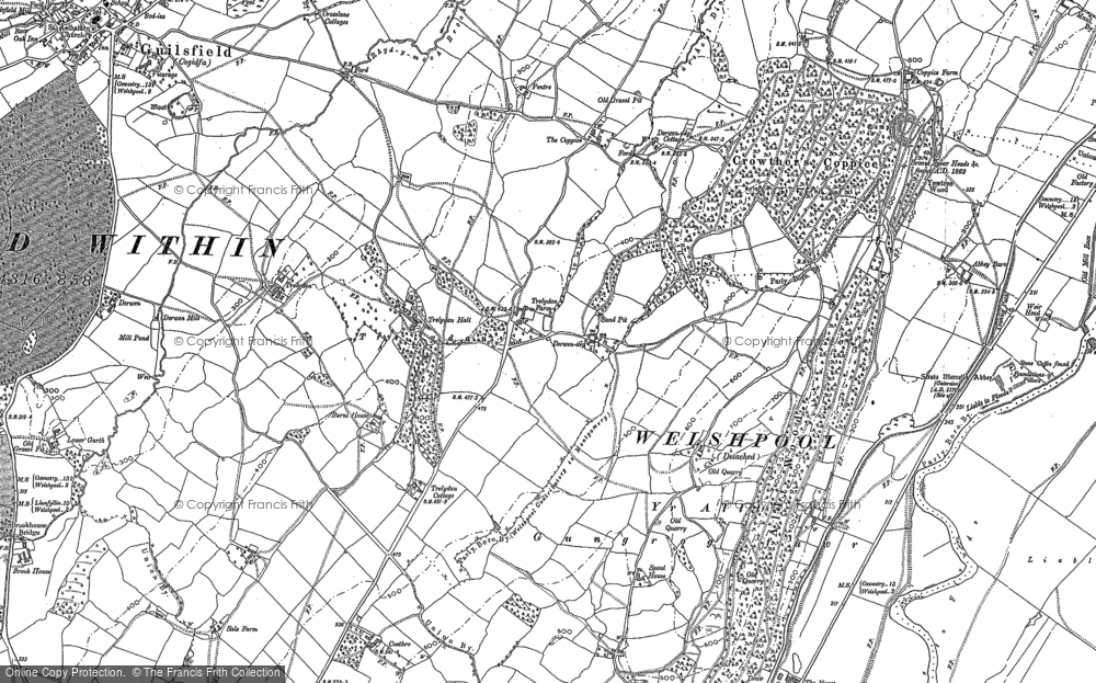 Old Map of Trelydan, 1884 in 1884