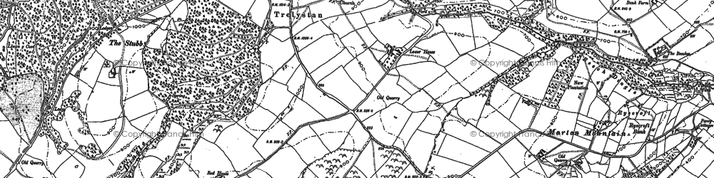 Old map of Trelystan in 1884