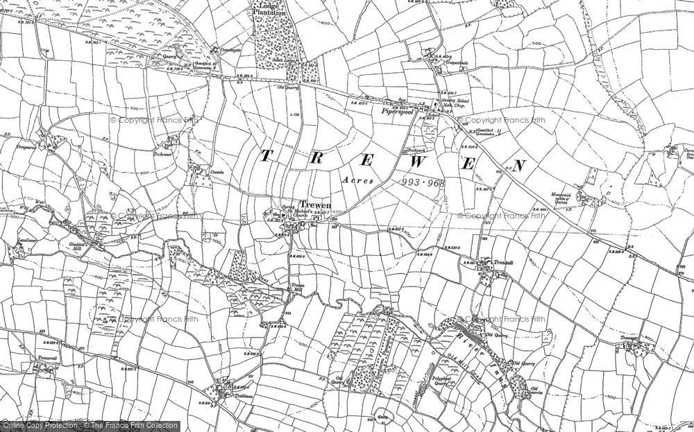 Old Map of Trewen, 1882 in 1882
