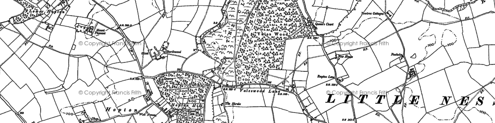 Old map of Vales Wood in 1881