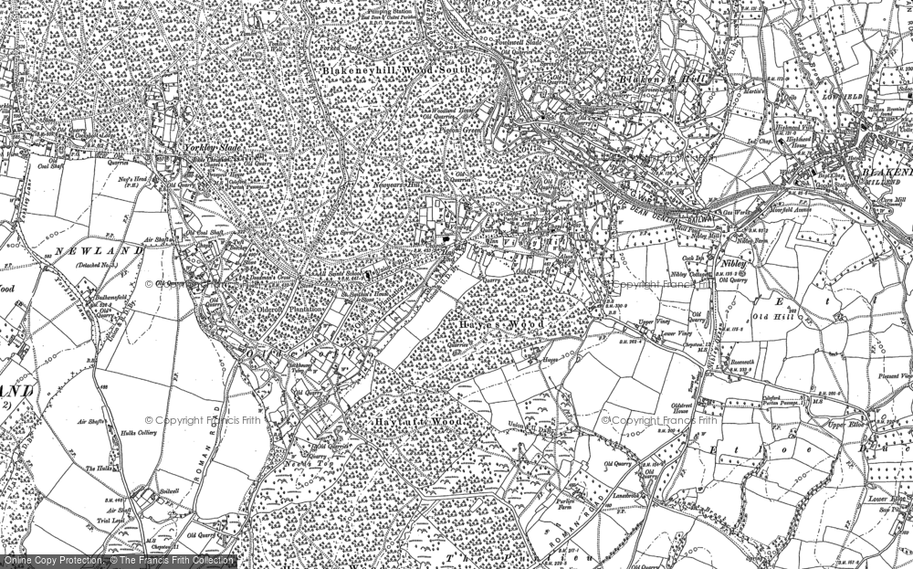 Old Map of Viney Hill, 1879 in 1879