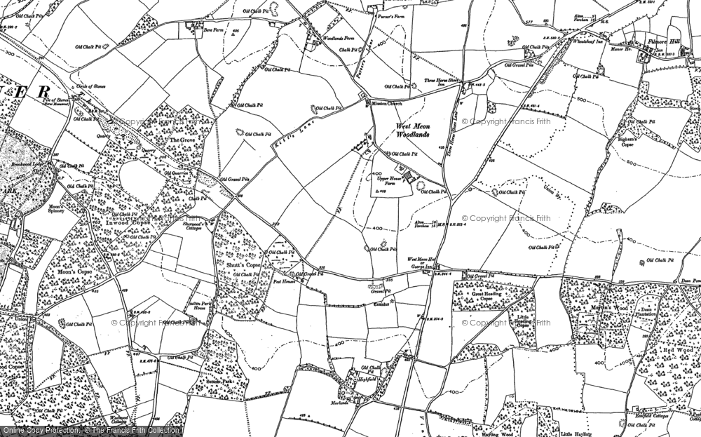 Old Map of West Meon Woodlands, 1895 in 1895