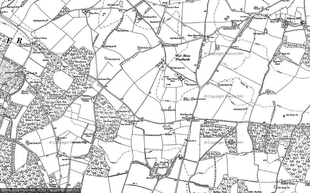 West Meon Woodlands, 1895