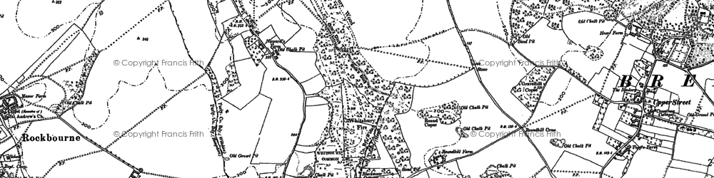 Old map of Whitsbury Common in 1895
