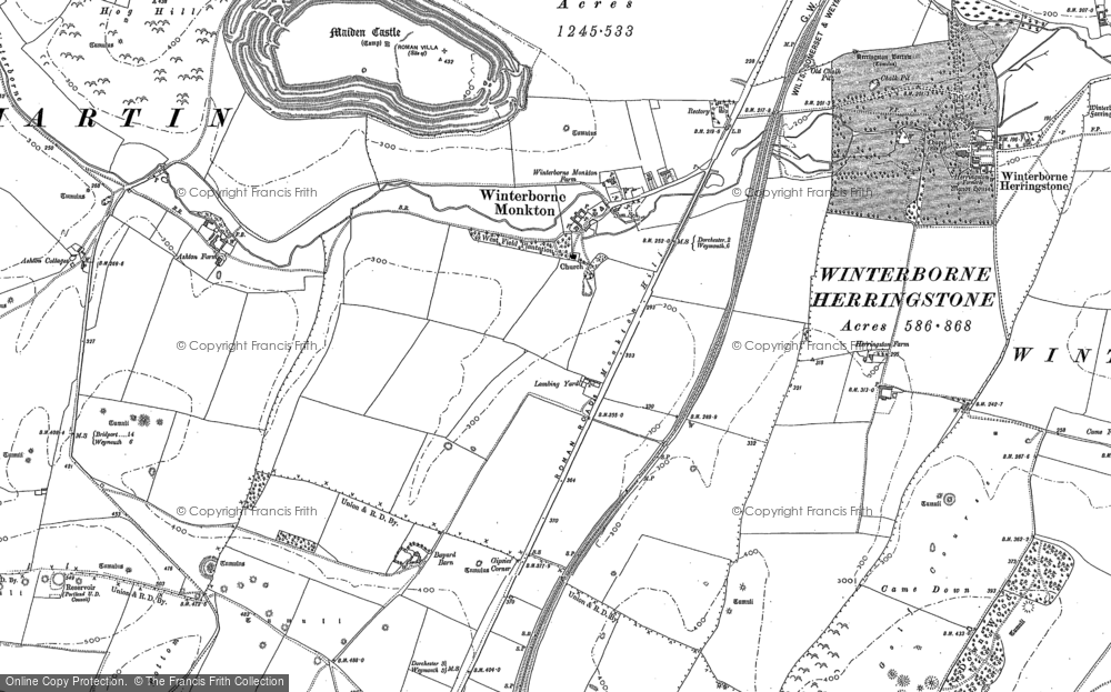 Old Map of Winterborne Monkton, 1886 in 1886