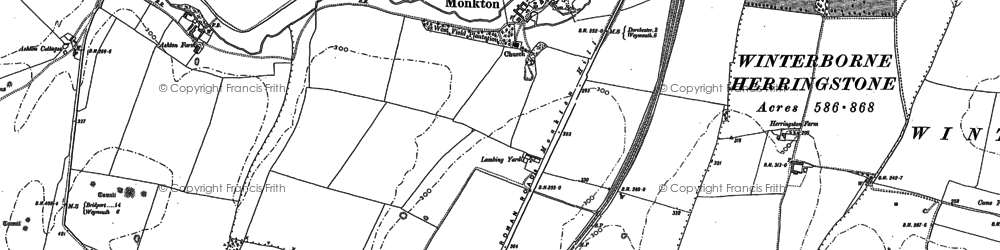 Old map of Winterborne Monkton in 1886