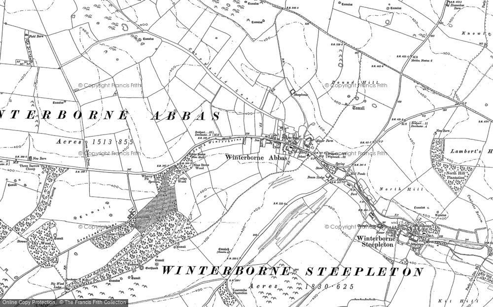 Old Map of Winterbourne Abbas, 1886 - 1901 in 1886