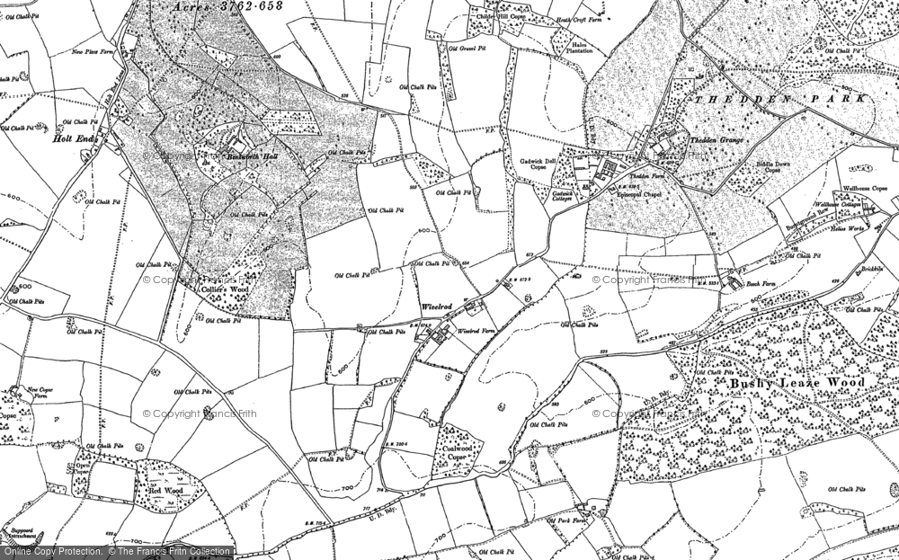 Old Map of Historic Map covering Chawton Park Wood in 1894