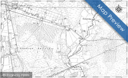 1900, Woolsbridge
