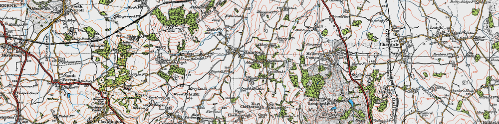 Old map of Adam's Green in 1919