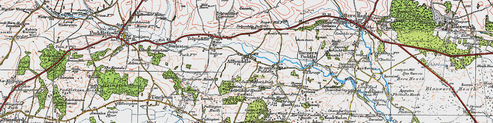 Old map of Affpuddle in 1919